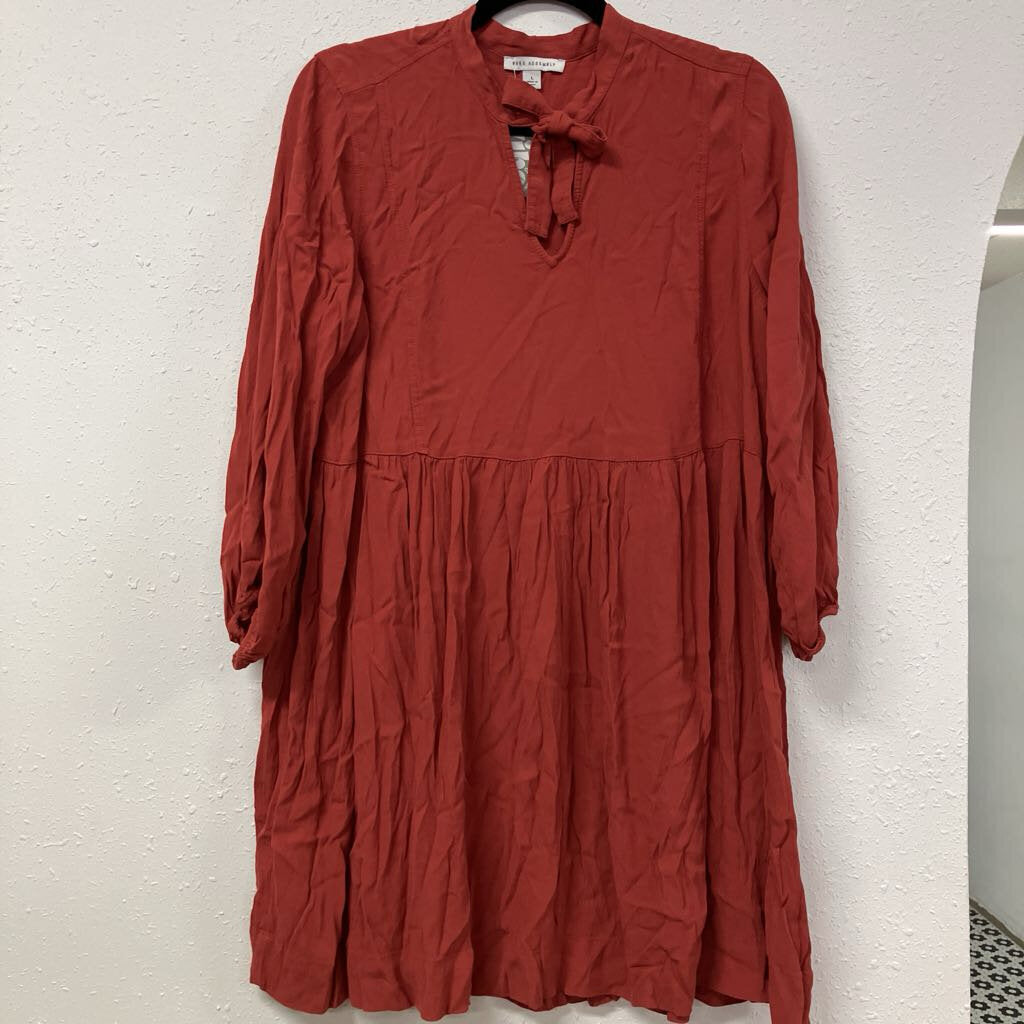 Long Sleeve Mini