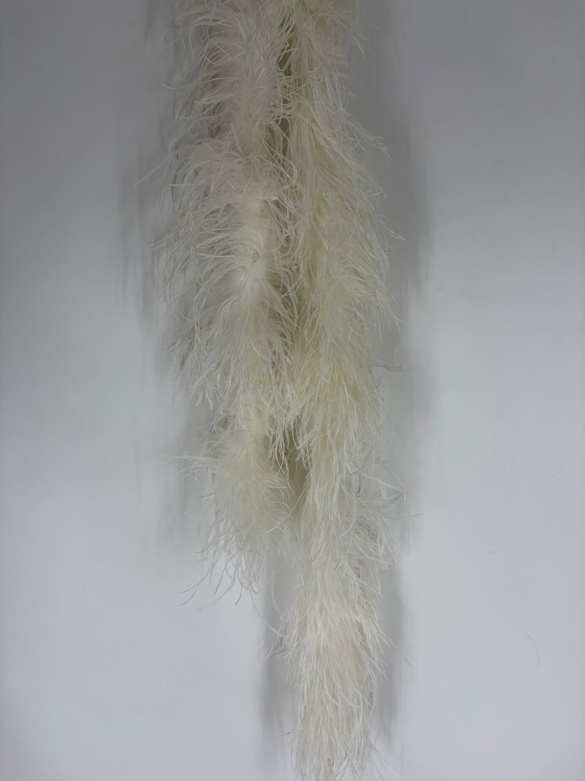 White  Feather Boa